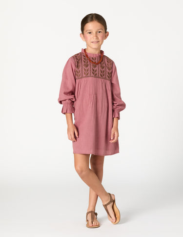 EMBROIDERED BLUSH DRESS
