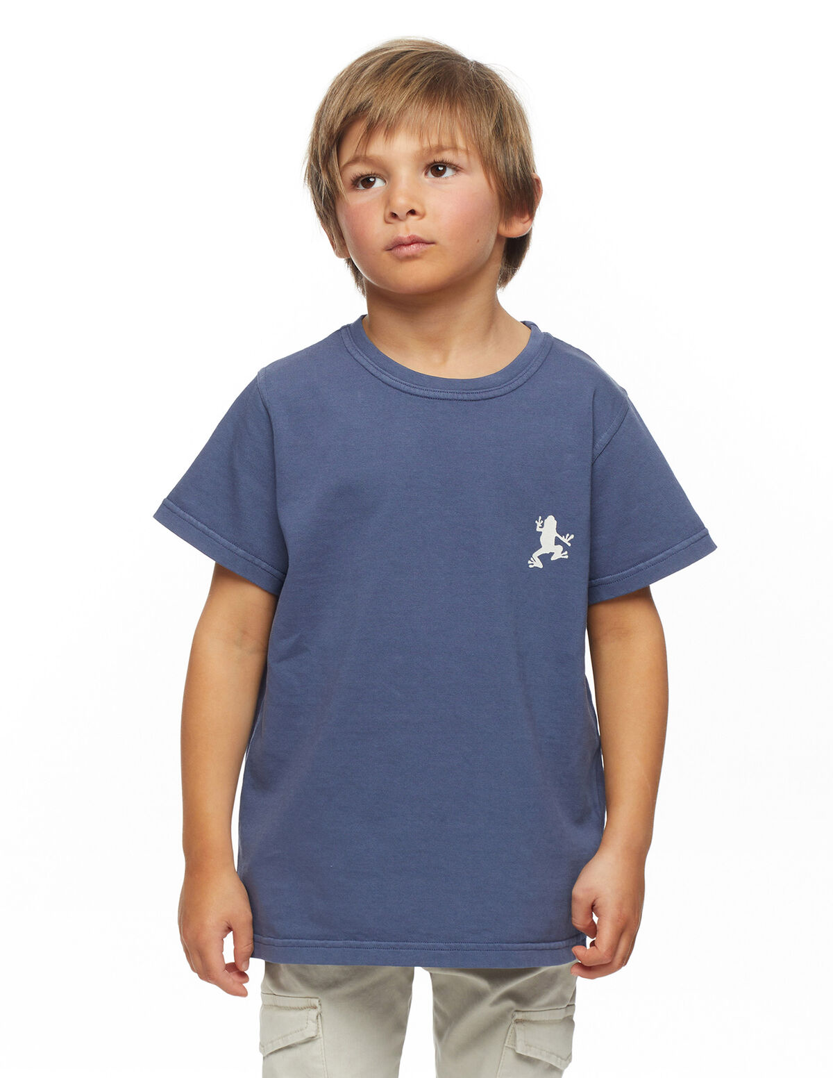 Camiseta print rana azul - Temporadas Anteriores - Nícoli