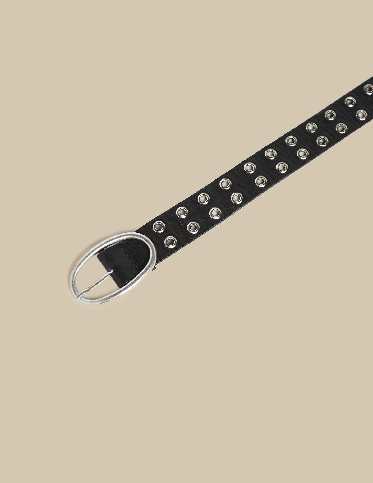 N belt negro tachuelas grandes plateadas