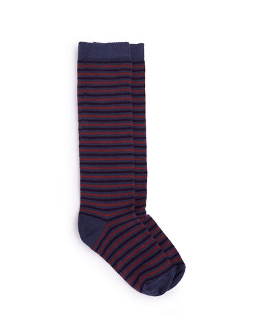 Blue multicolour striped socks - View all> - Nícoli