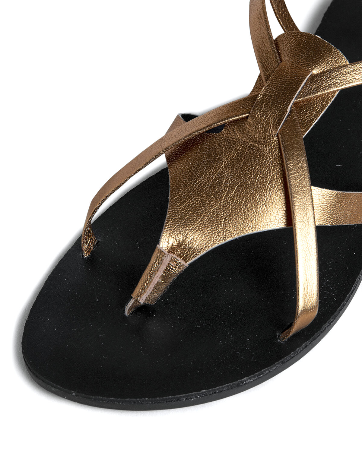 SAND&Aacute;LIA DOURADA