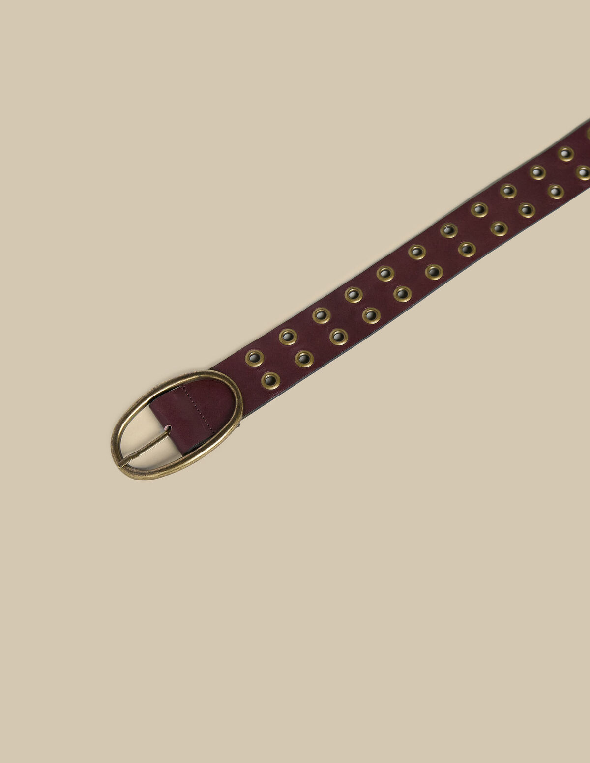 N belt negro tachuelas grandes plateadas