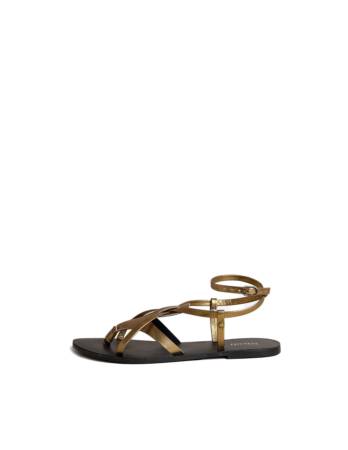 SAND&Aacute;LIA DOURADA