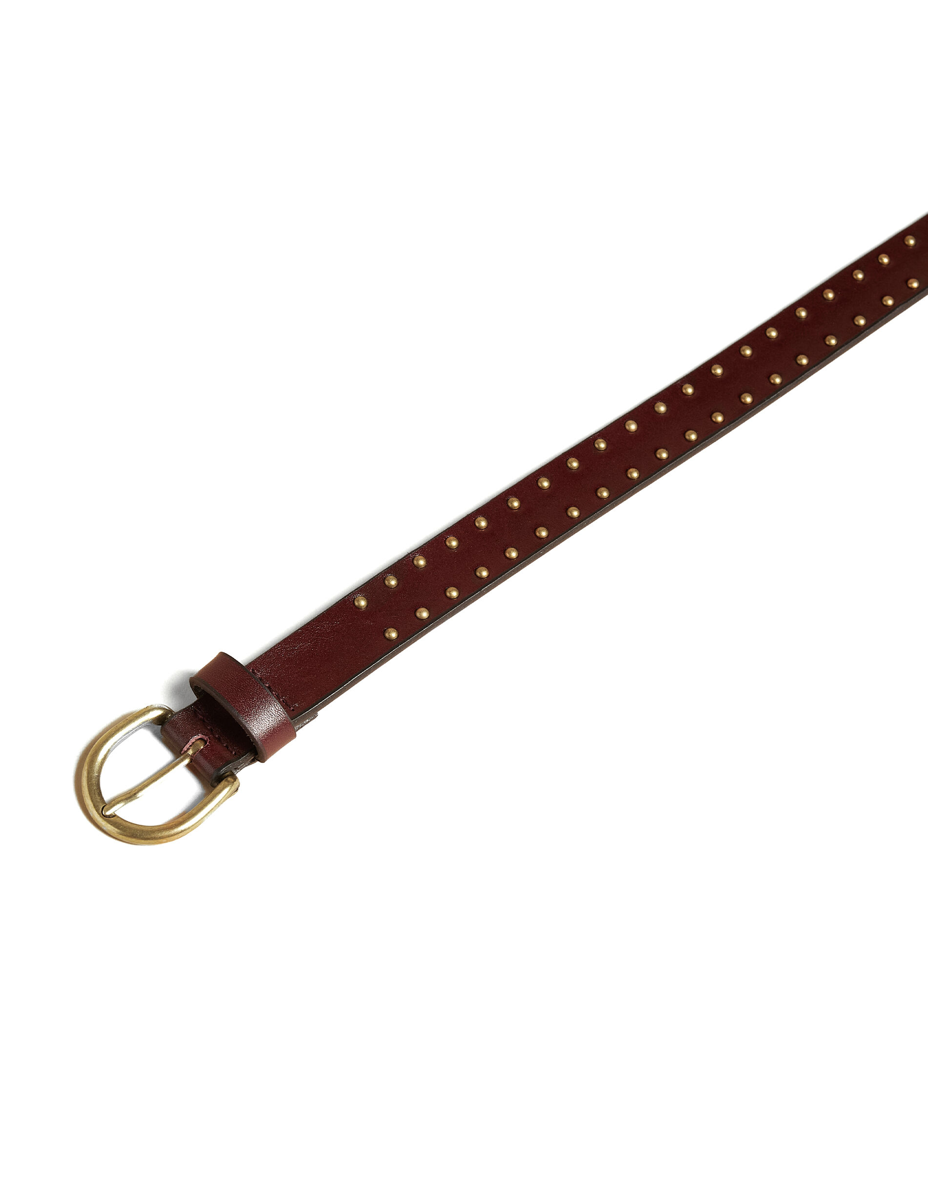 Grain studded belt | NICOLI Grain studded belt | NICOLI